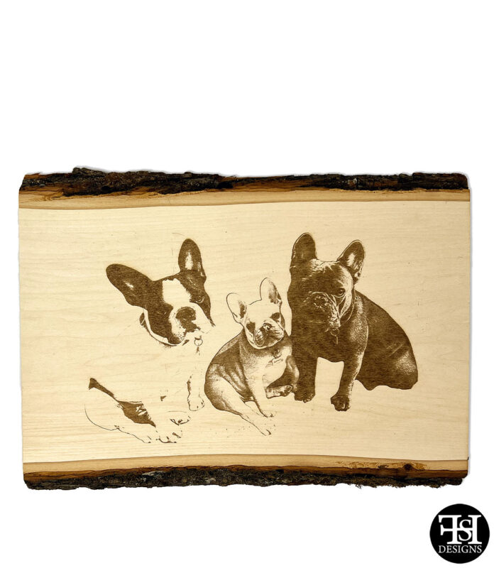 Three French Bulldogs Keepsake Portrait Basswood Plank